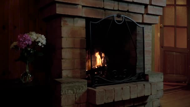 De open haard in de kamer van een landhuis is verlicht, door een prachtig scherm kunt u zien hoe de vlammen spelen en vrolijk dansen over het hout. — Stockvideo