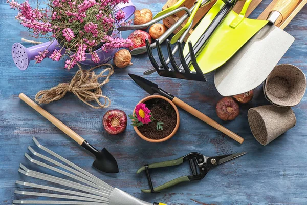 Herramientas Jardinería Con Plantas Sobre Fondo Madera — Foto de Stock