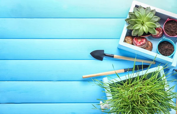 Gardening Tools Plants Pots Wooden Background — Stock Photo, Image