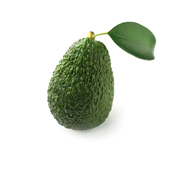 Fresh Avocado White Background — Stock Photo, Image