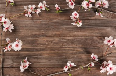 Ahşap arka plan güzel çiçek açması dallarında çerçeve yapılmış