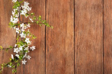Ahşap arka plan üzerinde güzel çiçek şube