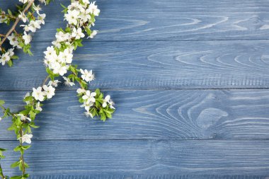 Ahşap arka planda çiçek açan güzel dallar.