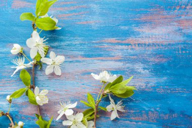Ahşap arka planda çiçek açan güzel dallar.