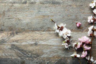 Ahşap arka planda çiçek açan güzel dallar.