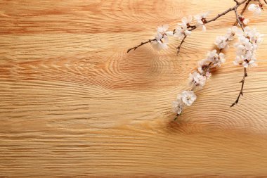 Ahşap arka planda çiçek açan güzel dallar.