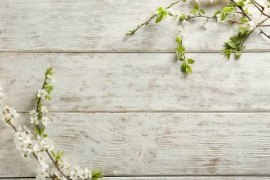 Ahşap arka planda çiçek açan güzel dallar.