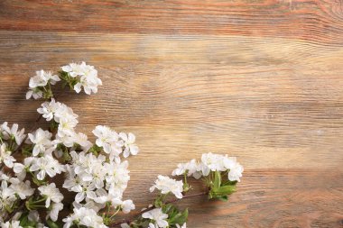 Ahşap arka planda çiçek açan güzel dallar.