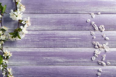 Güzel çiçek dalları ve yaprakları renk ahşap arka plan üzerinde