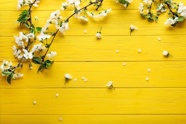 Güzel çiçek açması dal ve yaprakları renk ahşap arka plan üzerinde