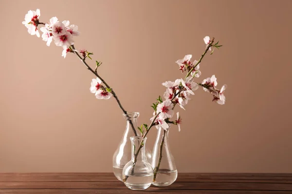 Jarrones Con Hermosas Ramas Flor Sobre Mesa Contra Fondo Color — Foto de Stock