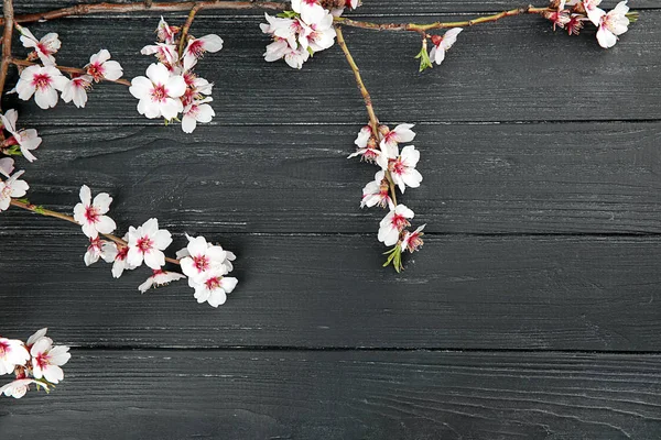 Beautiful Blossoming Branches Dark Wooden Background — Stock Photo, Image