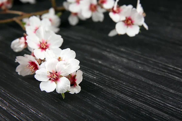 Beautiful Blossoming Branch Dark Wooden Background — Stock Photo, Image