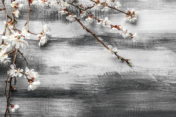 Красиві Квітучі Гілки Дерев Яному Фоні — стокове фото