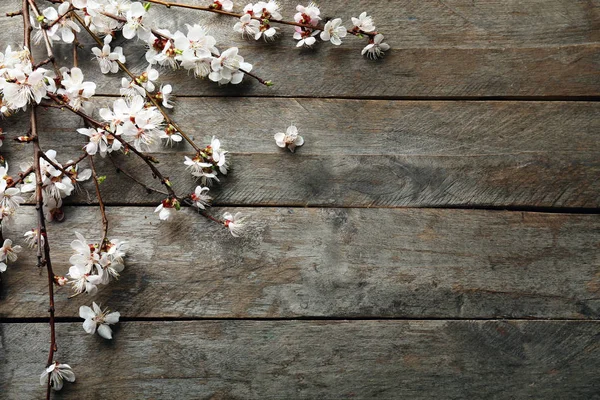 Beautiful Blossoming Branches Wooden Background — Stock Photo, Image
