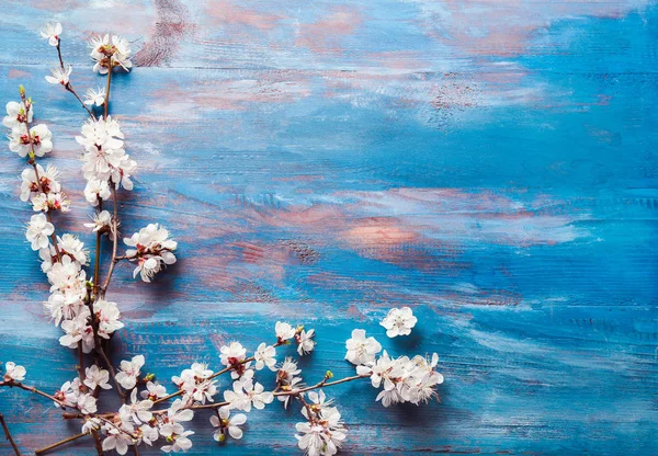 Beautiful Blossoming Branches Wooden Background — Stock Photo, Image