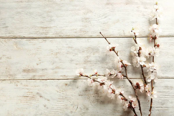 Красиві Квітучі Гілки Дерев Яному Фоні — стокове фото