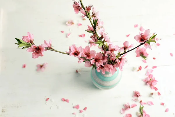 Vase Beautiful Blossoming Branches White Table — Stock Photo, Image