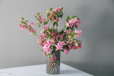 Gri arka planda çiçek açan güzel dalları olan vazo.