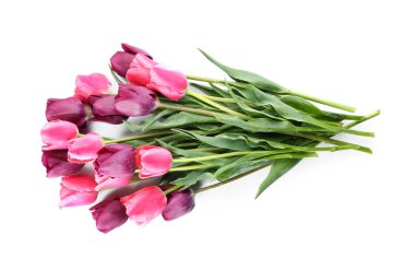 Beyaz arka planda güzel laleler