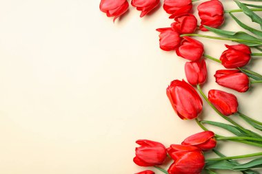 renkli arka plan üzerinde güzel laleler