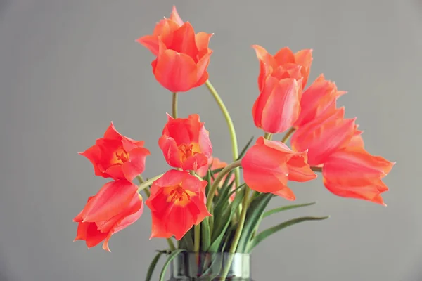 Vase Beautiful Tulips Grey Background — Stock Photo, Image