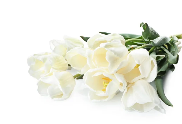 Bellissimi Tulipani Sfondo Bianco — Foto Stock