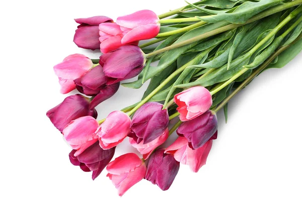 Krásné Tulipány Bílém Pozadí — Stock fotografie