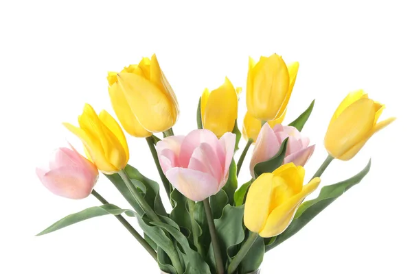Piękne Tulipany Białym Tle — Zdjęcie stockowe