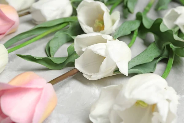 Beautiful Tulips Grey Textured Background Closeup — Stock Photo, Image