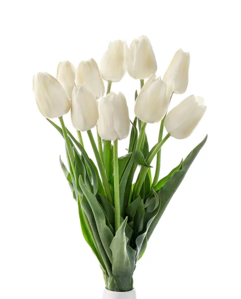 Buquê Belas Tulipas Fundo Branco — Fotografia de Stock