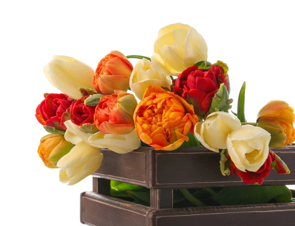 Dřevěný Box Krásné Tulipány Bílém Pozadí — Stock fotografie