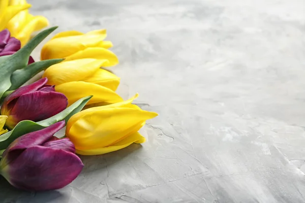 Beautiful Tulips Grey Background — Stock Photo, Image