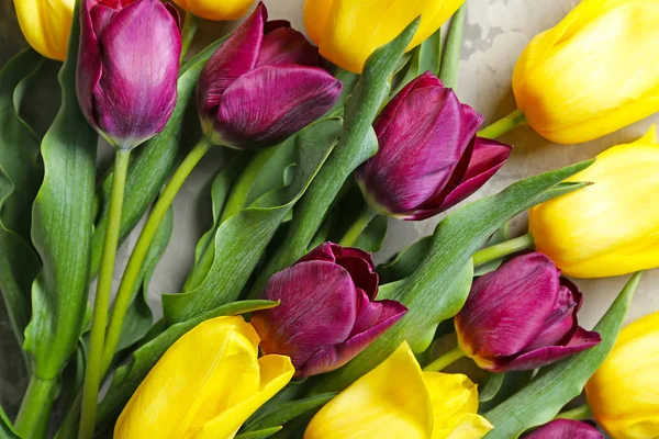 Beautiful Tulips Grey Background Closeup — Stock Photo, Image