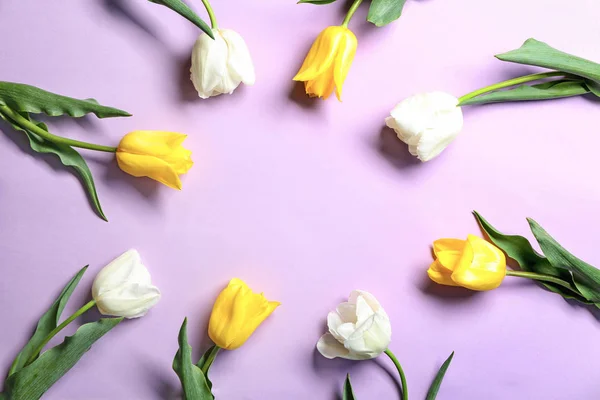 Beautiful Tulips Color Background Flat Lay — Stock Photo, Image