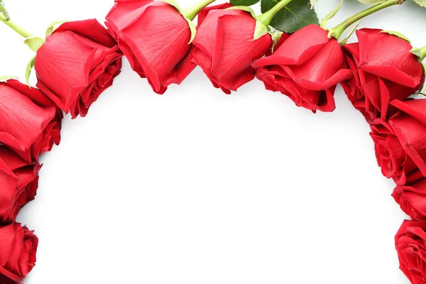 Beautiful Roses White Background — Stock Photo, Image