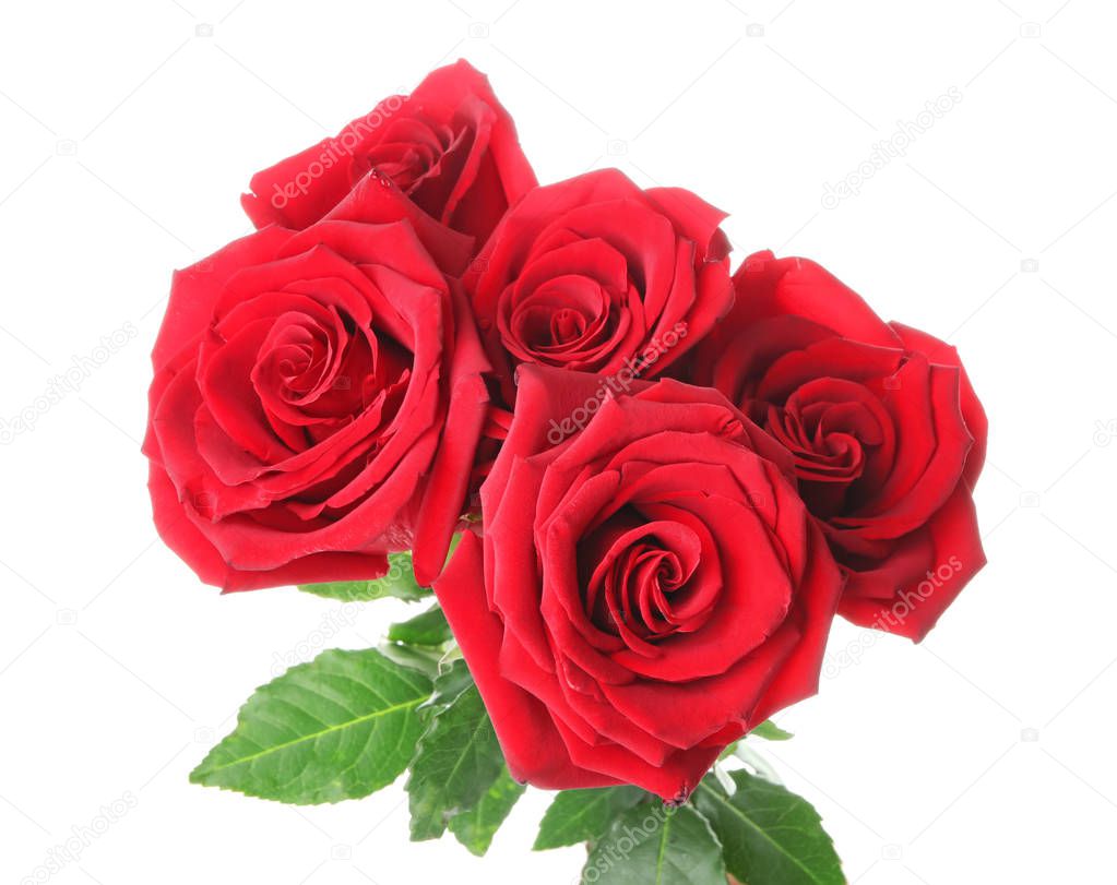 Bouquet of beautiful roses on white background