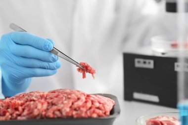 Bilim adamı Forcemeat laboratuvarında incelenmesi