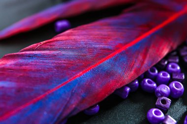 Renkli tüy ve koyu arka plan, closeup üstündeki