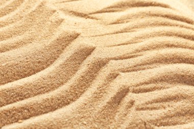 Desenle, closeup kum