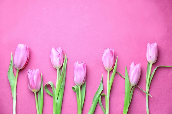 Beautiful fresh tulips on color background