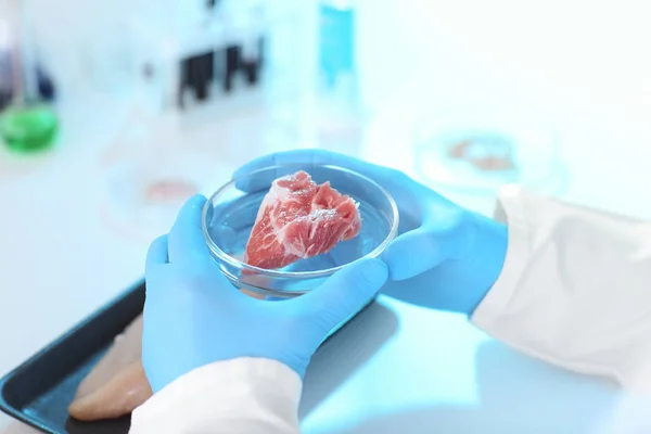 Wetenschapper Petrischaal Met Vlees Monster Laboratorium Close Houden — Stockfoto