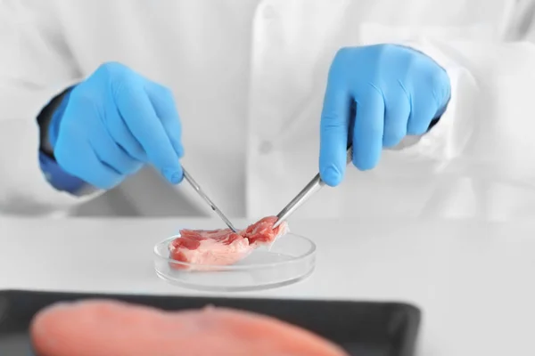 Wetenschapper Examencommissie Vlees Monster Laboratorium — Stockfoto