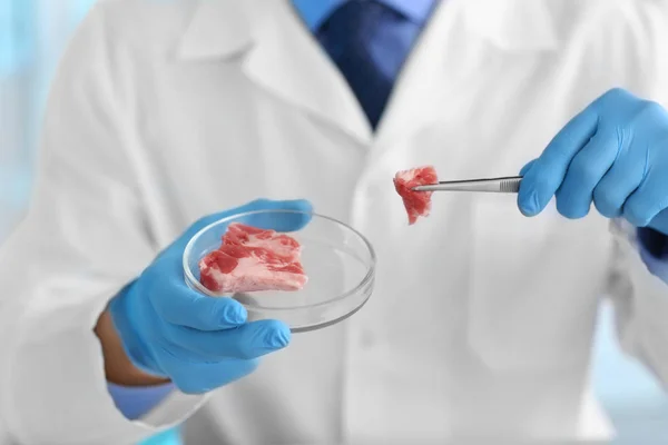科学家在实验室检查肉类样品 — 图库照片