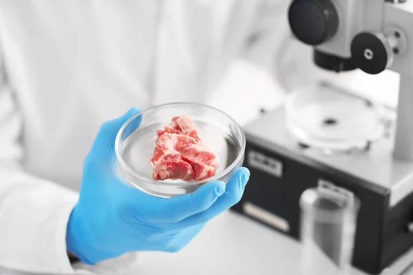 Wetenschapper Holding Petrischaal Met Vlees Monster Laboratorium — Stockfoto