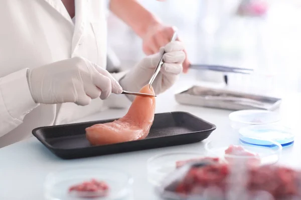 Scienziato Che Esamina Campione Carne Laboratorio — Foto Stock