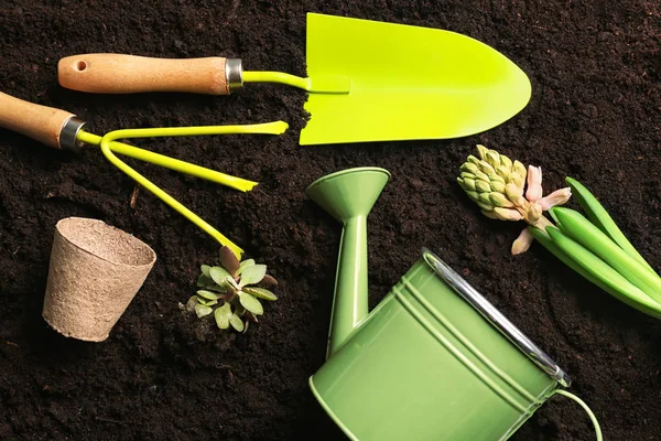 Plants Gardening Equipment Soil — Stock Photo, Image