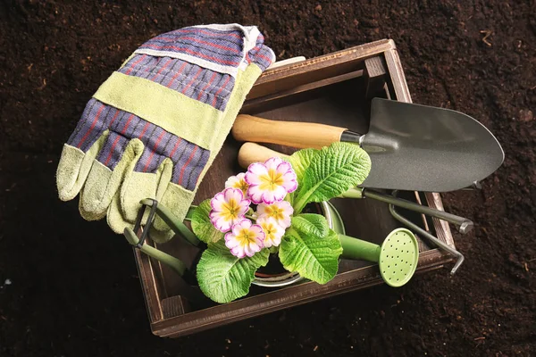Wooden Crate Gardening Tools Plant Soil — Stock Photo, Image