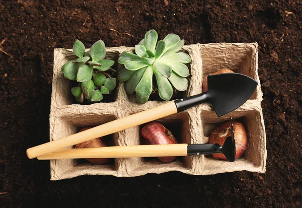 Peat Pots Plants Bulbs Gardening Tools Soil — Stock Photo, Image