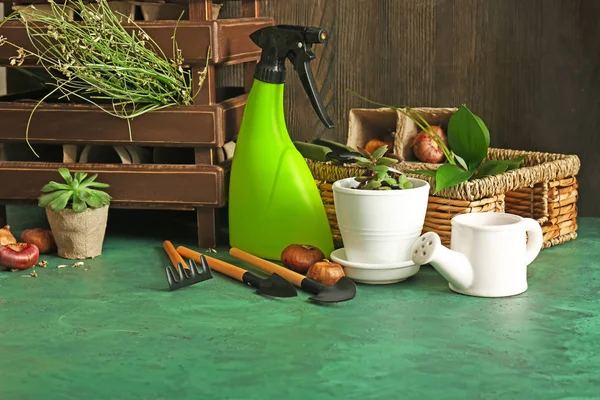 Pot Plants Gardening Tools Wooden Wall — Stock Photo, Image